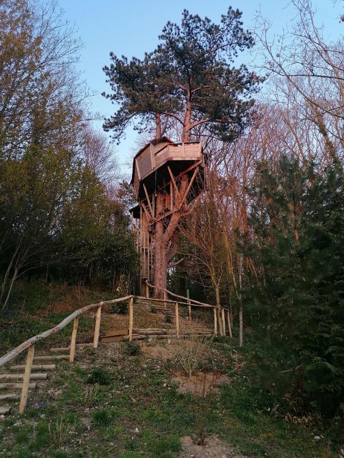 אטרטאט Sherwood Tree מראה חיצוני תמונה
