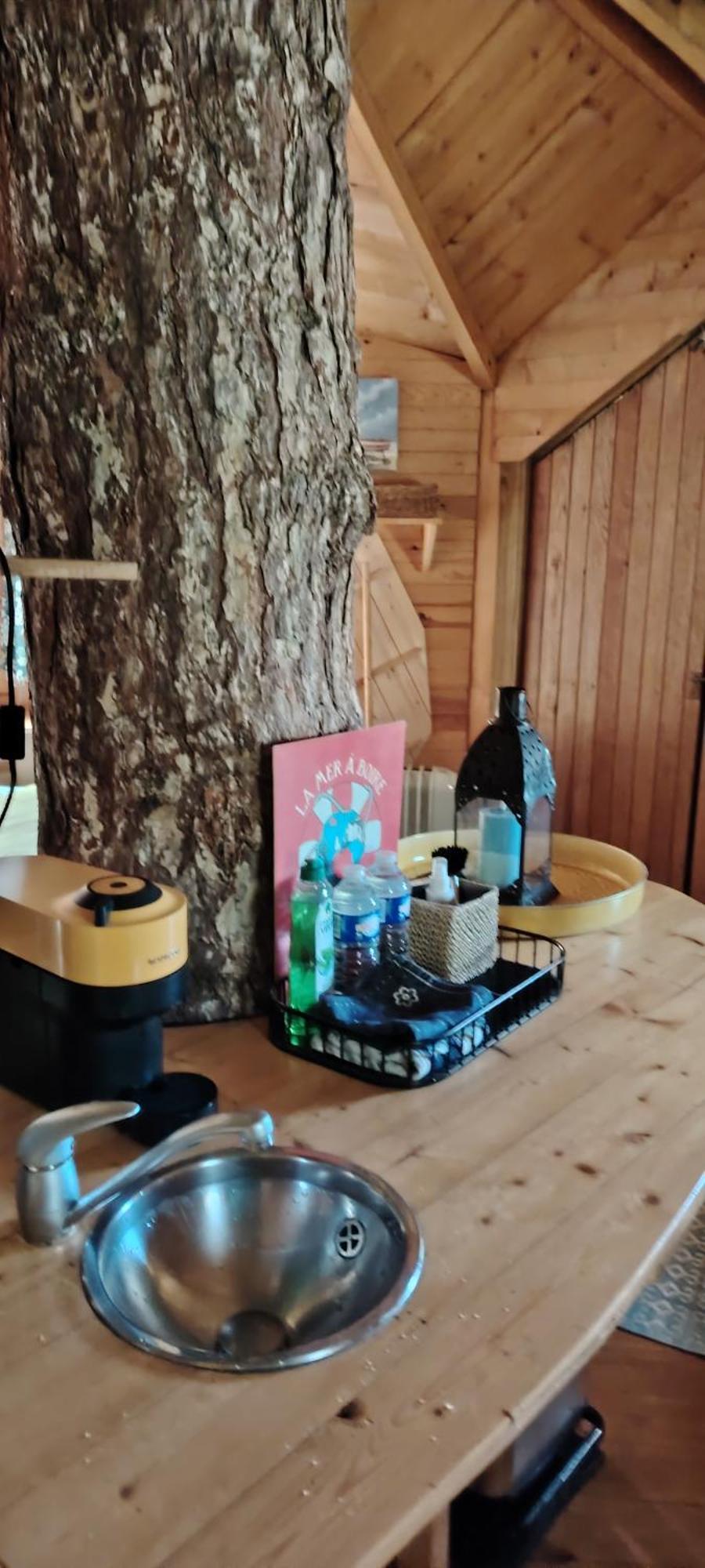 אטרטאט Sherwood Tree מראה חיצוני תמונה