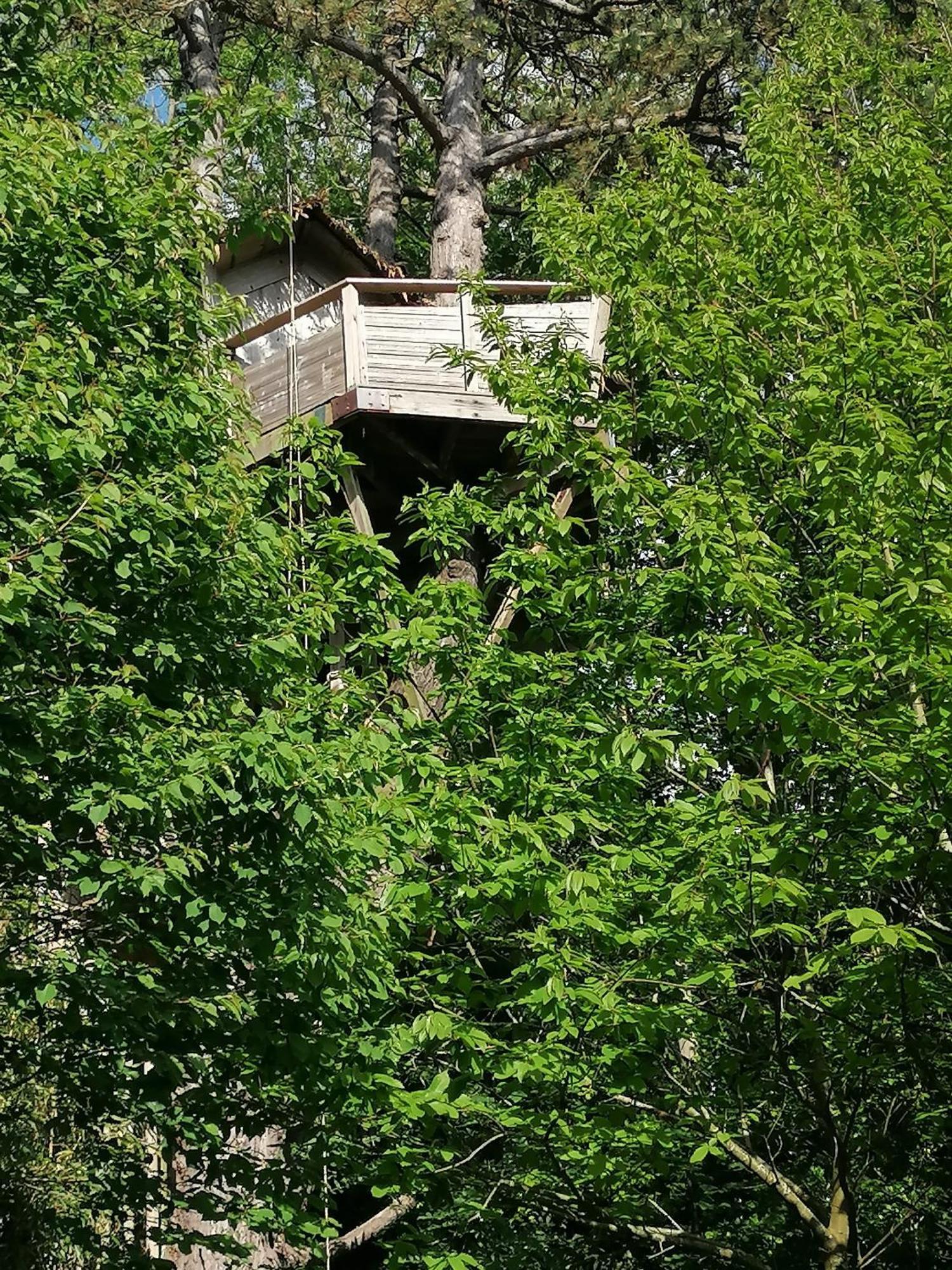 אטרטאט Sherwood Tree מראה חיצוני תמונה
